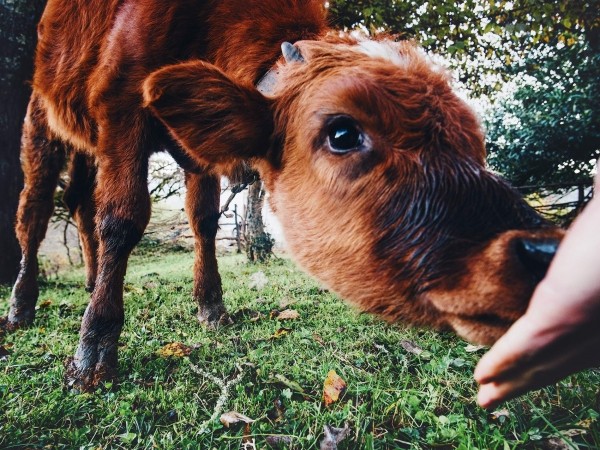 faites le avec vos enfants
