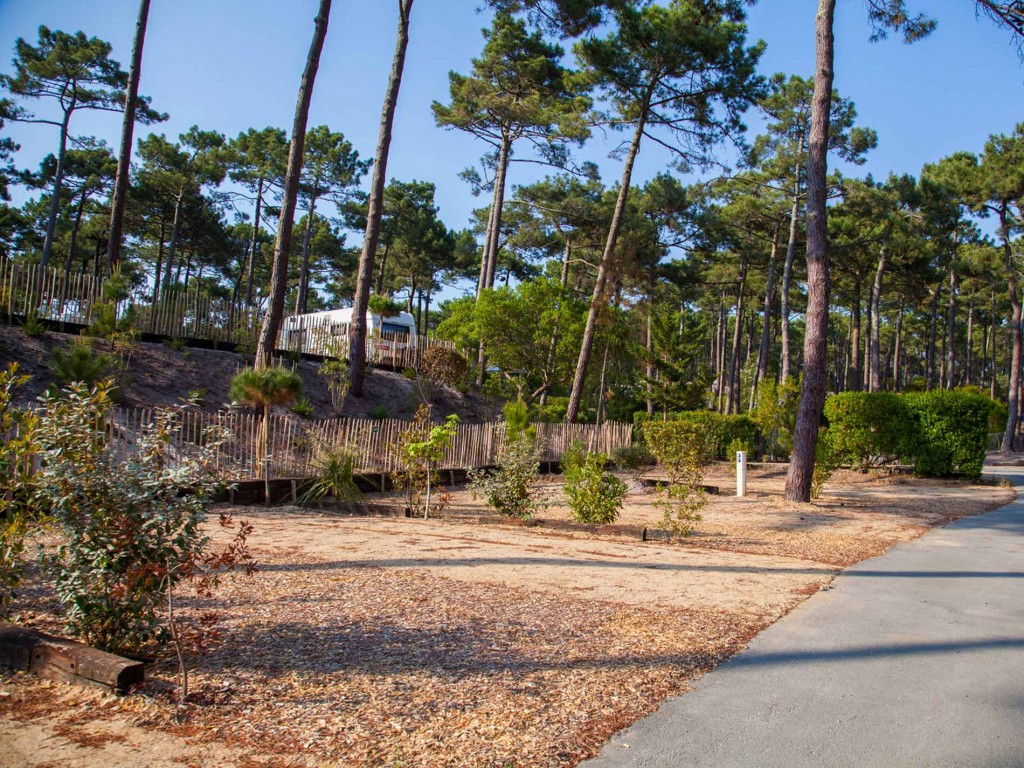 Camping Lacanau 5 toiles En Aquitaine Yelloh Village Les Grands Pins camping-lacanau-5-toiles-en-aquitaine-yelloh-village-les-grands-pins